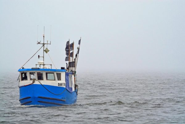 Beenden Sie zerstörerische Fischerei in Ostsee-Schutzgebieten, Frau Klöckner!