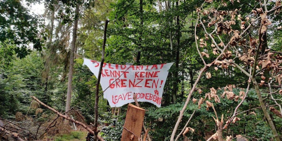 Photo 2020 09 29 09 43 35