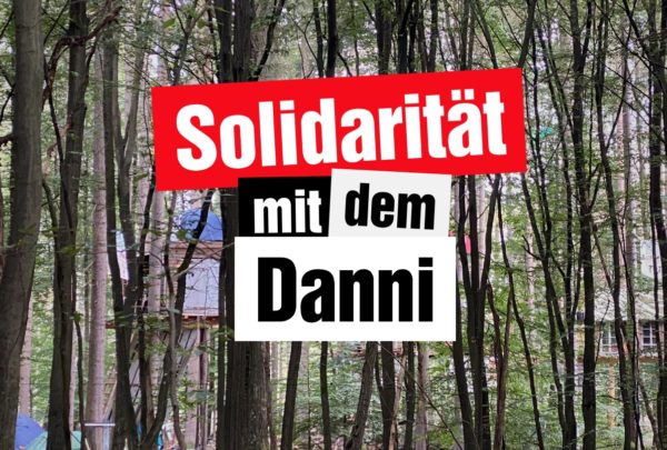 Danni Soli