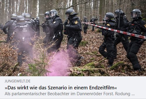 Interview in „junge Welt“ zum Dannenröder Wald