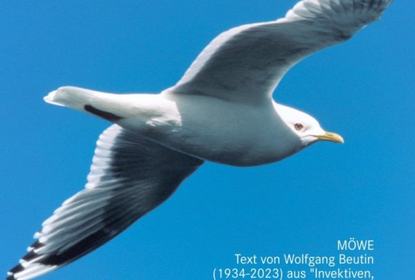 photo 2023 02 27 18 28 41